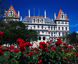Doctors Plastic Surgery Long Island City New York Doctors Plastic Surgery Long Island City New York